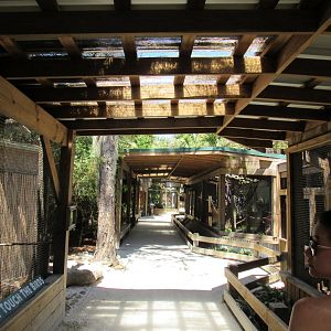 Small Animals - Wild Florida