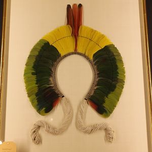 South American Indian-headdress