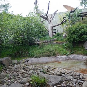 21/5/2017 - Tian Tian's Exhibit