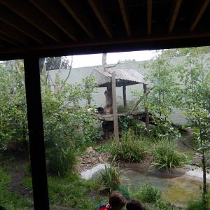 21/5/2017 - Yang Guang's Exhibit