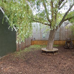 21/5/2017 - Bamboo Plaza