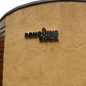 21/5/2017 - Penguins Rock Entry
