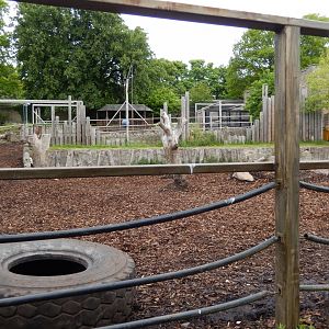 21/5/2017 - Indian Rhino Exhibit (Lower Level)