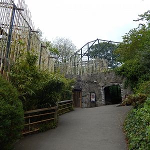 21/5/2017 - Entering Tiger Tracks - Lower Area