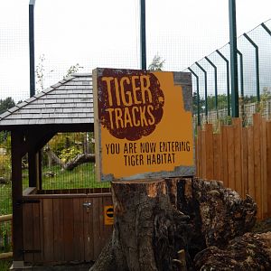21/5/2017 - Entering Tiger Tracks - Higher Area