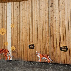 21/5/2017 - Tiger Tracks - Education Wall