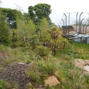 21/5/2017 - Tiger Tracks - Newer Exhibit