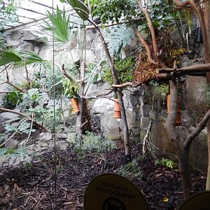 21/5/2017 - First Koala Habitat