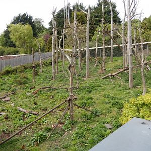 21/5/2017 - Living Links Outdoor Habitat