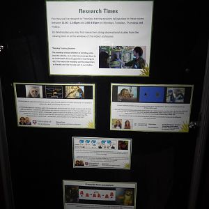 21/5/2017 - Research Project Signage