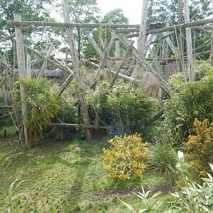 21/5/2017 - Budongo Trail - Outdoor Chimpanzee Habitat