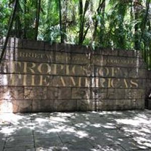 Tropics of the Americas