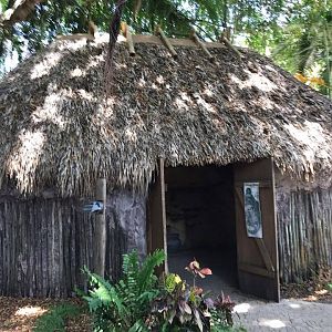 Tropics of the Americas