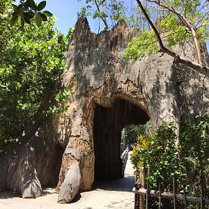 Tropics of the Americas