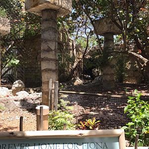 Tropics of the Americas- Jaguar