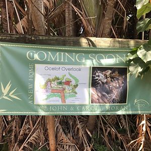 Tropics of the Americas- Future Ocelot Habitat