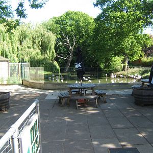28/5/2017 New Flamingo viewing area
