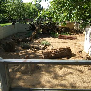 28/5/2017 View of Meerkat enclosure