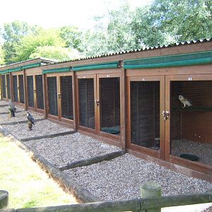 28/5/2017 View of Bird of Prey Mews