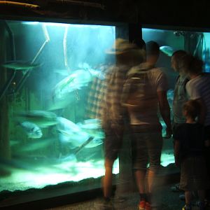 28/5/2017 View of Native Tank