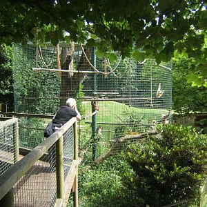 28/5/2017 View from raised walk way