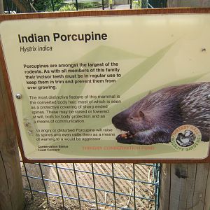 28/5/2017 Signage style