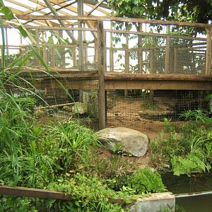 28/5/2017 View inside Crocodile House
