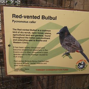 28/5/2017 Signage style