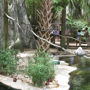 Emerald Forest Aviary Interior