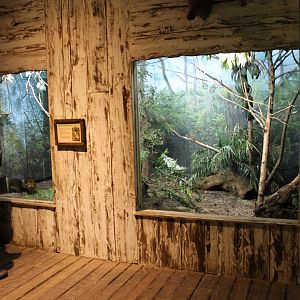 Enclosure Philippine mouse deer