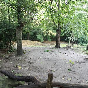 Enclosure Philippine spotted deer