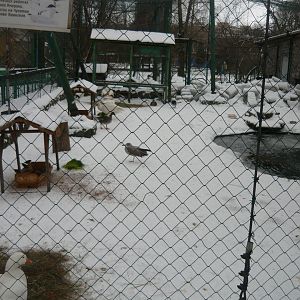 Waterfowl exhibit