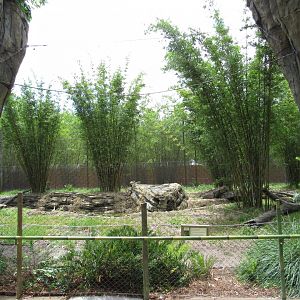 Malayan Tiger Exhibit