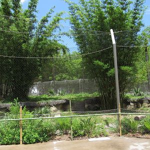 Sumatran Tiger Exhibit
