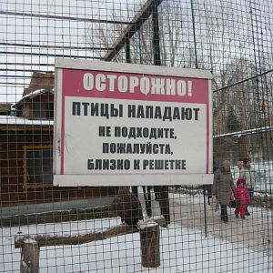 Caution! Birds are attacking. Please don't come close to the wire mesh.