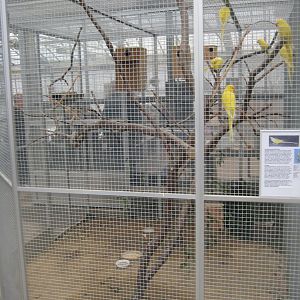 Hald Ege Miniregnskov - Entrance area - Mixed aviary