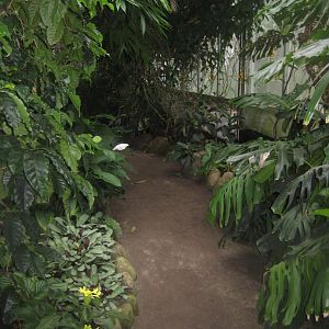 Hald Ege Miniregnskov - Greenhouse