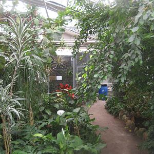 Hald Ege Miniregnskov - Greenhouse