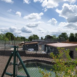 Islands Construction Work- Malayan Tapir Pool