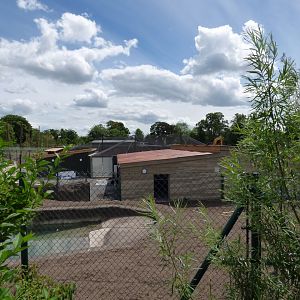 Islands Construction Work- Malayan Tapir House