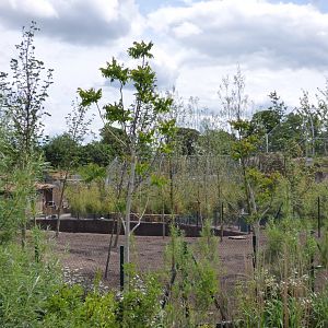 Islands Construction- Malayan Tapir Paddock