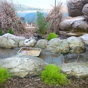 Wading birds enclosure