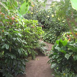 Hald Ege Miniregnskov - Greenhouse