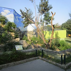 Sun Bear Enclosure