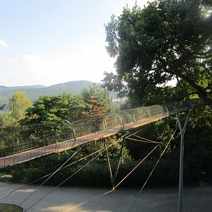 Coati Bridge