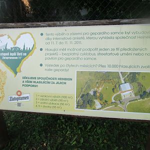 Cheetah development plans