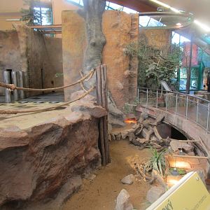 Inside the Elephant House