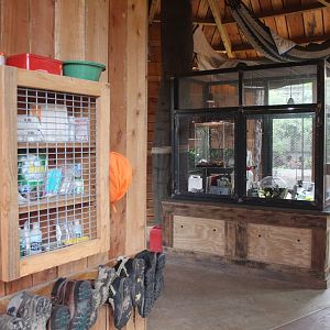 Monsoon Forest displays