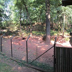 Brown Bear Exhibit