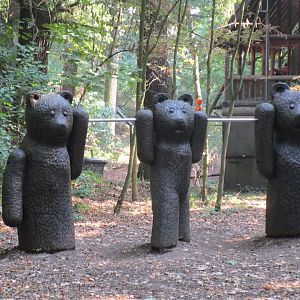 If you go down to the woods today....